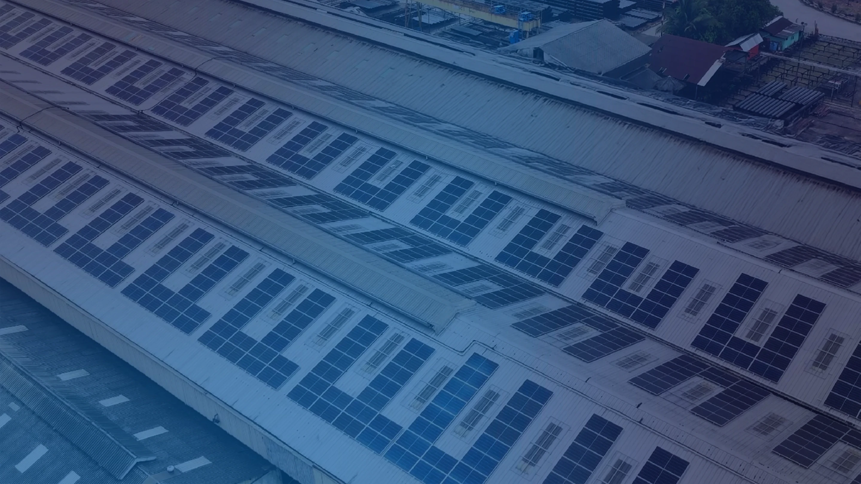 Our Commitment To Supporting The Green & Sustainable Environment