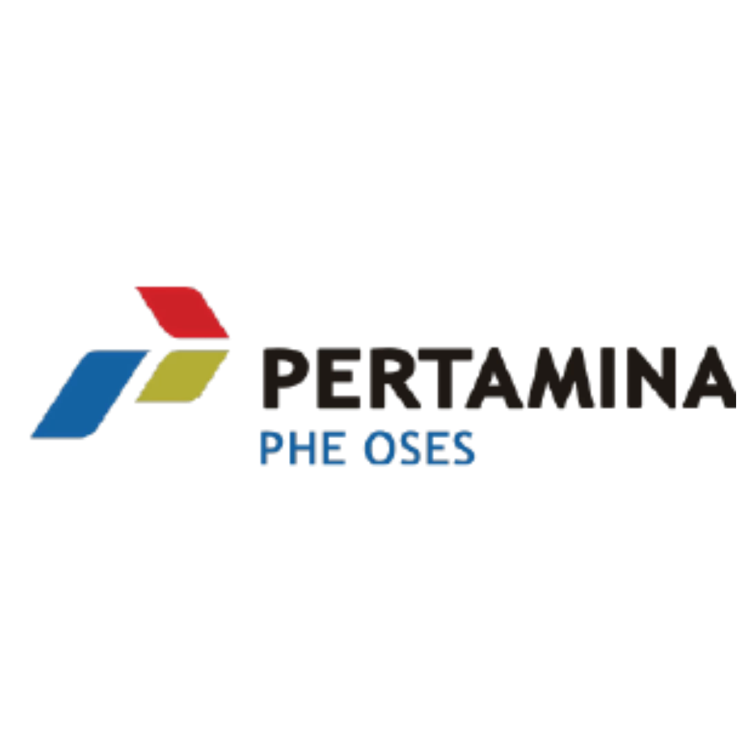 Pertamina Hulu Energi Offsore South East Sumatera (PHE OSES) Logo