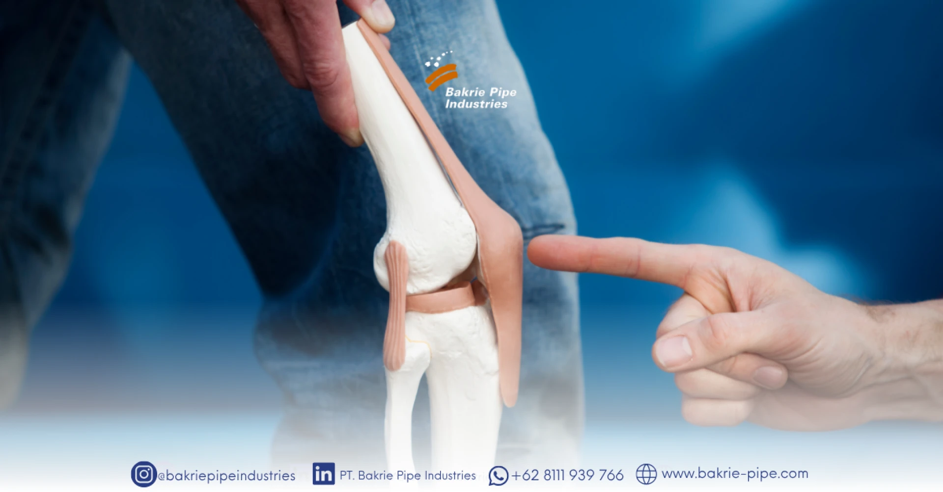 Tips for Keeping Your Joints Healthy to Stay Active and Productive