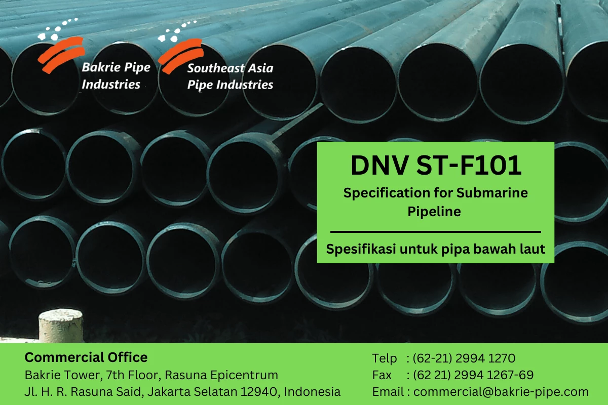 DNV ST-F101